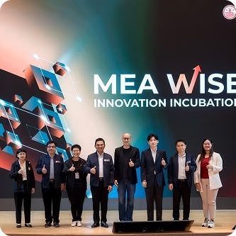 Mea wise 3
